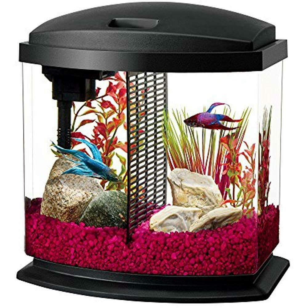 2.5 gallon fish tank