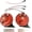 Red 12v 2PCS, variant on Loud 300db Electric Snail Horn, Vehicle Accessory, 12v 24v Dual Voltage, Compatible with Trucks Boats Cars Motorcycles, Compact Durable Design, Vibrant Red Color, Single Piece Package, New