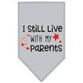 thumbnail image 4 of Pet and Dog Bandana Screen Printed, "I Still Live With My Parents", 4 of 10
