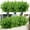 Green Eucalyptus, variant on 6 Bundles Artificial Flowers Outdoor Fake Flowers, UV Resistant No Fade Faux Plastic Greenery Shrubs Plants for Hanging Garden Porch Window Box Outside Decoration (Fuchsia)