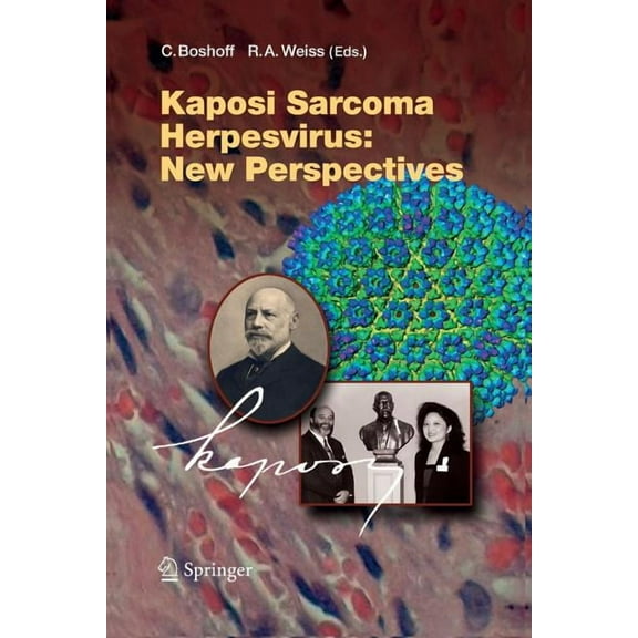 Current Topics in Microbiology and Immmu Kaposi Sarcoma Herpesvirus: New Perspectives, Book 312, (Paperback)
