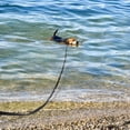 thumbnail image 3 of Durable Dog Training Lead, Extra Long Leash for Agility, Outdoor Obedience, And Swimming, Flexible, Not Chew-Resistant, With Soft Grip, Suitable For Medium To Large Dogs, 3 of 3