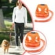 thumbnail image 3 of Arnés naranja para perro, chaleco de malla, correa naranja para perro, arneses naranjas para perro, correas para el pecho, cinturón, fácil control para mascotas, 3 of 7
