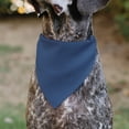 thumbnail image 5 of Buckle-Down Adopt Me Text and Paw Black Lavender Ivory Slip On Collar&nbsp;Bandana Only, 5 of 6