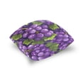 thumbnail image 5 of Grapes and Leaves Cartoon Throw Pillow Covers Pillowcases 16 x 16 Inch Home Decor 2 Packs for Bedroom Sofa, 5 of 6