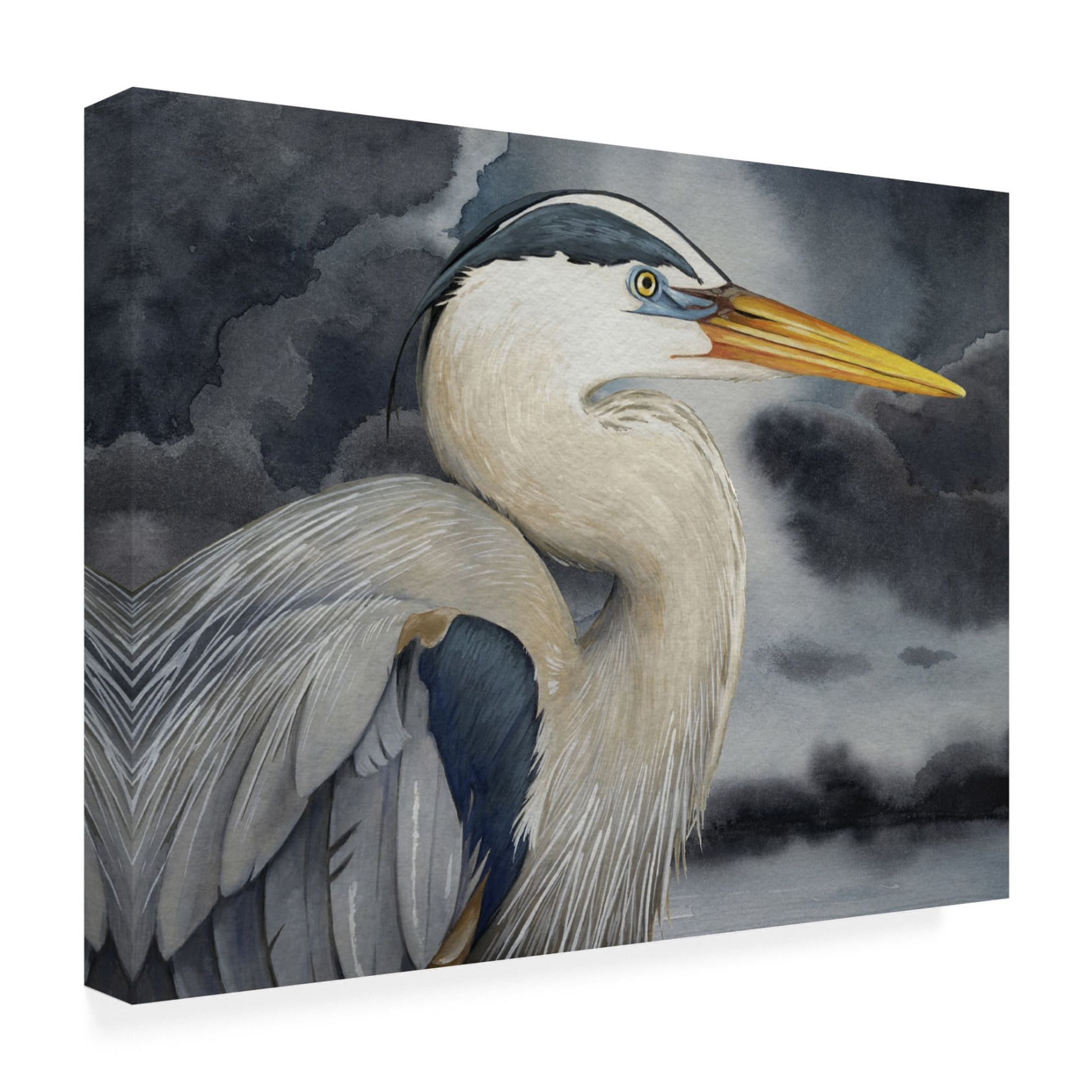 Trademark Fine Art Grace Popp  Stormy Blue I Canvas Wall Art