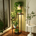 thumbnail image 2 of Curtilage Plant Stand, 5 Tier Metal Plant Shelf  with Grow Light, Indoor Flower Display Stand for Living Room Patio Home Decor Brown, 2 of 6