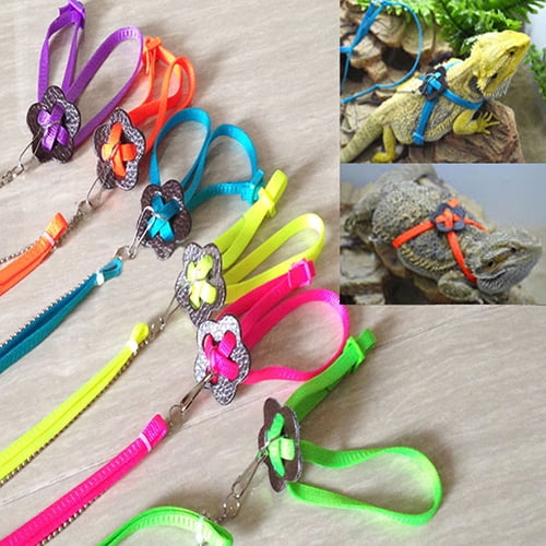 Limei Lizard Leash Bearded Dragon Harness Adjustable Reptile Lizard Harness Leash Parrot Harness Turtle Lizard, Suitable for Gecko Hamster Kitten Small Animal Outdoor Walking - Blue