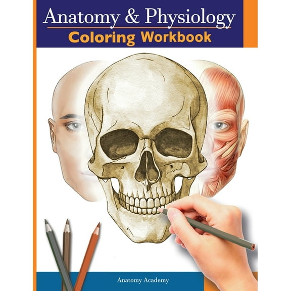 Anatomy and Physiology Coloring Workbook: The Essential College Level Study Guide Perfect Gift for Medical School Studen, (Paperback)