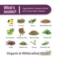 thumbnail image 4 of Amber NaturalZ Kidney Health for Pets | Pet Herbal Supplement for Kidney Wellness 4oz, 4 of 7