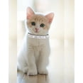 thumbnail image 4 of Breakaway Cat Collars with Bell,Adjustable Safe Kitten Collar,Cat Collars for Girl Cats with Rhinestone Soft Velvet, 4 of 7