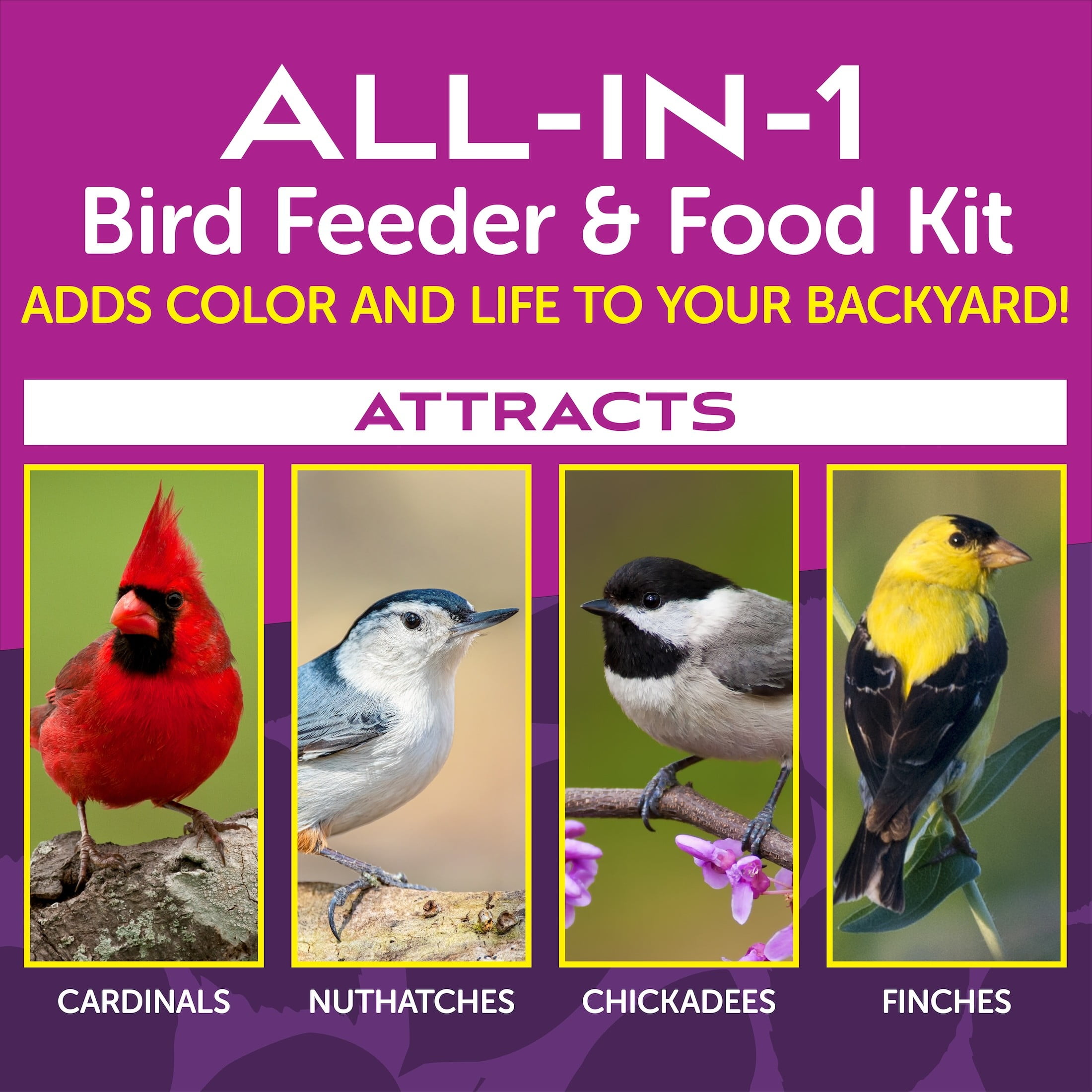 Pennington Earth Smart Green Ecozebo 7lb Capacity Wild Bird Feeder and Feed Starter Kit 1 Each