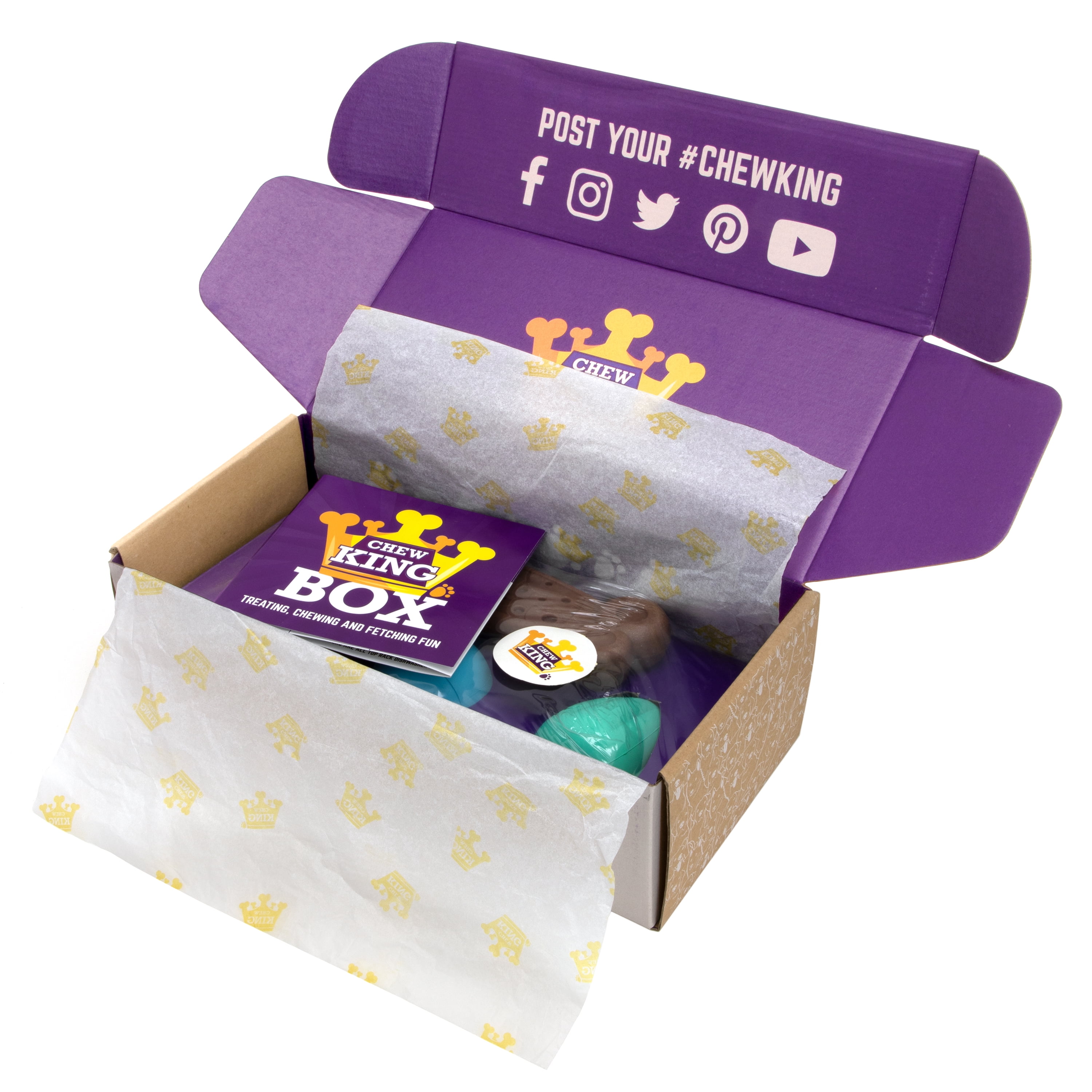 Chew King Dog Toy Box Medium- Durable Fetch Balls, Treater and Chewing Toy Collection