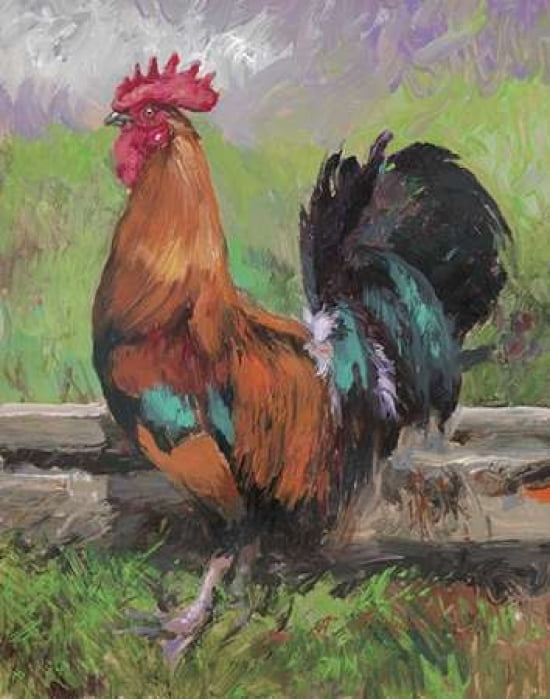 Red And Turquoise R