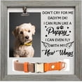 thumbnail image 2 of Dog Memorial Picture Frame 9x9inch with Photo Clip & Collar Holder, 2 of 9