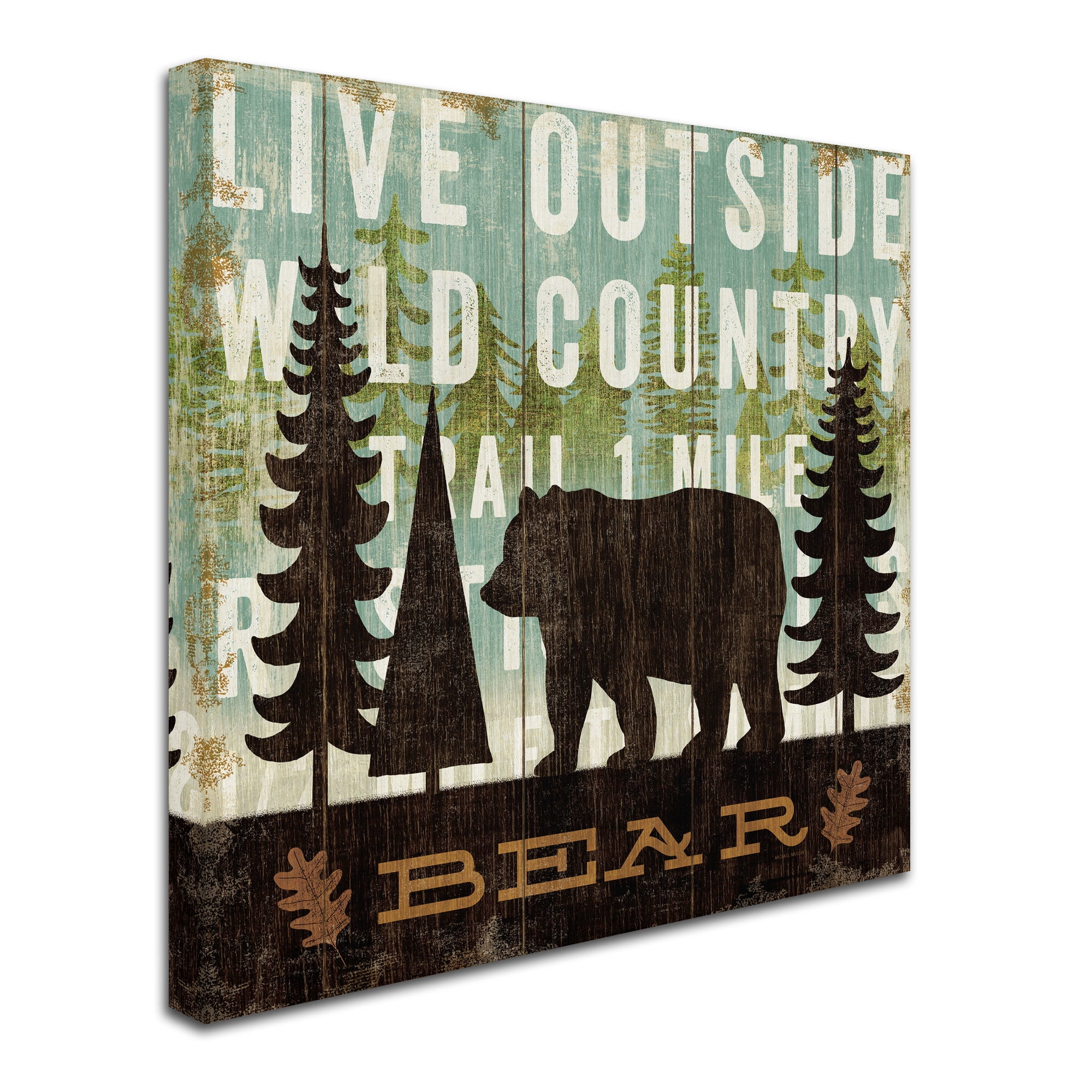 Trademark Fine Art "Simple Living Bear" Canvas Art by Michael Mullan