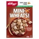 Céréales Kellogg's Mini-Wheats Saveur de cassonade, 510 g 510 g – image 1 sur 9