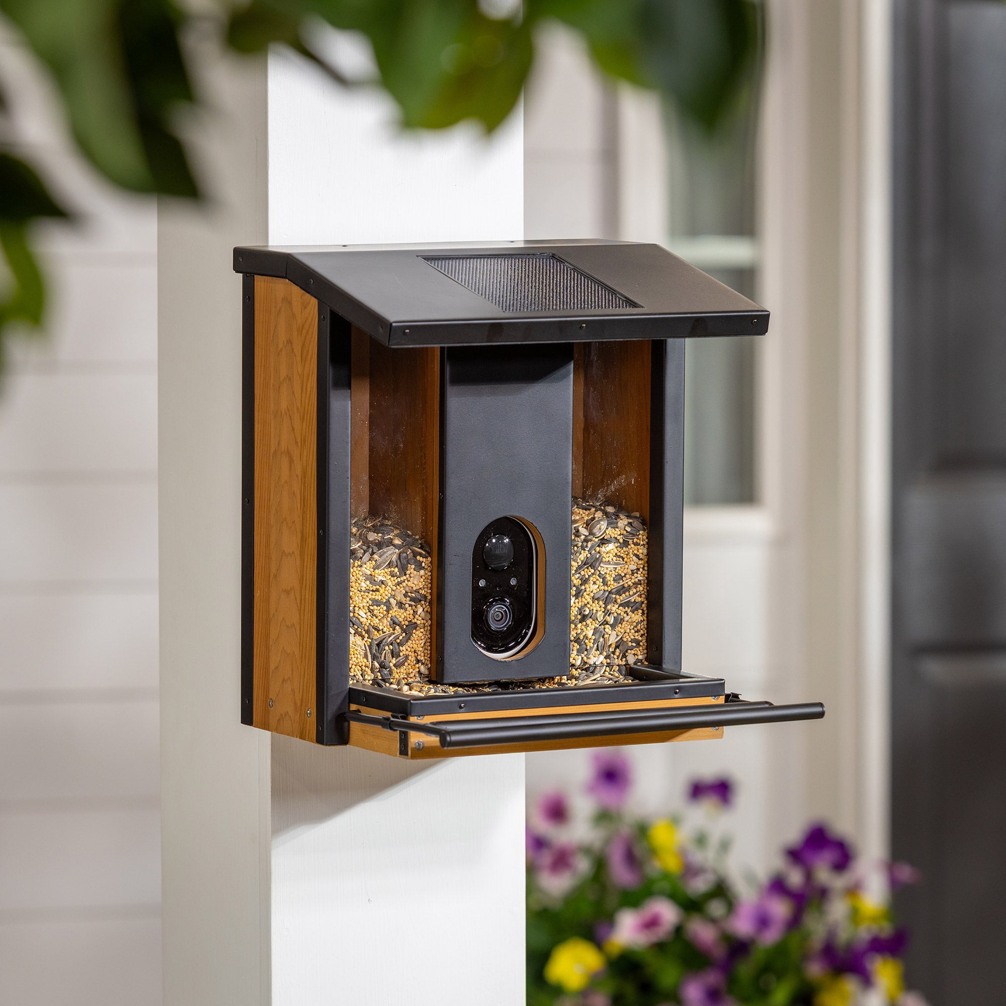 Evergreen Smart Bird Feeder with Solar Camera