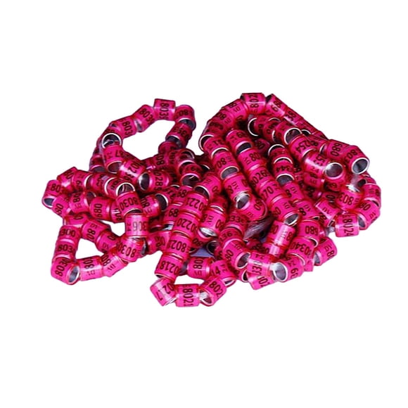 100 piezas anillos para pata de paloma 2024 bandas de identificación anillo de identificación colores brillantes Rosa Yuyangstore Bandas para piernas de paloma