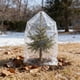 thumbnail image 5 of Bolsa transparente para protección contra heladas de plantas: cubierta reutilizable para árboles, arbustos y plantas en maceta durante el invierno., 5 of 6