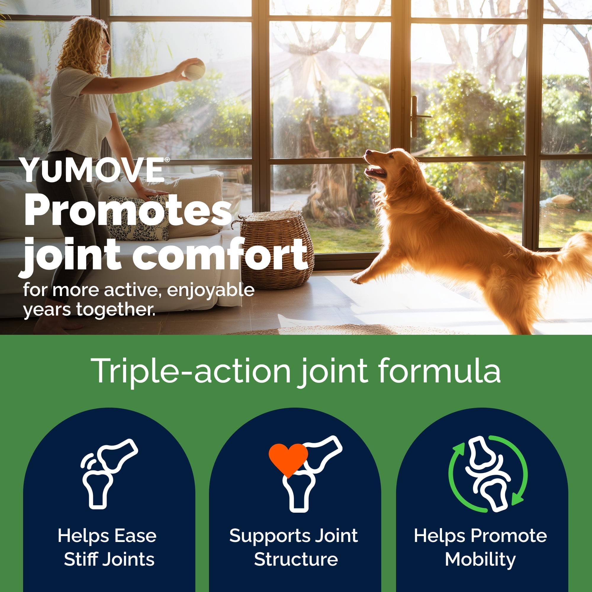 Vetnique YuMOVE Hip & Joint Health Soft Chews, Barbeque Flavor, Young Adult to Senior, 150 count