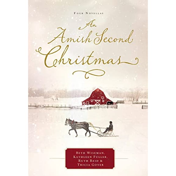 Pre-Owned An Amish Second Christmas, 9781401689810, 1401689817, Paperback,