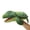 Green, variant on Just qunseen Shark Hand Puppet 13'' Soft Plush Toy Ocean Animal Storytelling Gift for Boys Girls