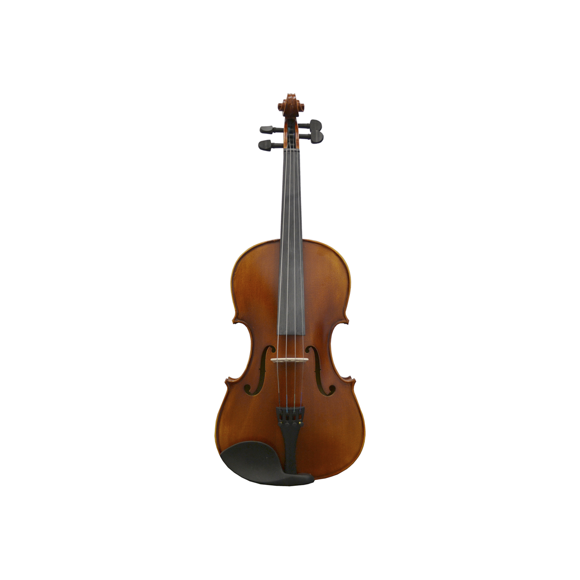 1/2 Size Student Violin Ensemble - Matte Finish