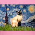 thumbnail image 3 of CafePress - Starry Night Siamese Women's Dark T Shirt - Women's Traditional Fit Dark T-Shirt, 3 of 4