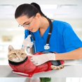 thumbnail image 4 of Mesh Pet Bath Bag Cats Grooming Washing Bags No Scratching Adjustable Cat Supplies Bath Clean Bag Pet Nail Trimming Bags (01), 4 of 7