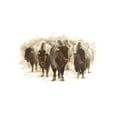 thumbnail image 2 of Harper, Ethan 24x17 Gold Ornate Wood Framed with Double Matting Museum Art Print Titled - Herd of Bison II, 2 of 4