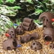 thumbnail image 2 of Aquarium Decor Fish Shrimps Shelter House Pottery Canister Style 11, 2 of 5