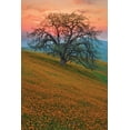 thumbnail image 2 of Mark Geistweite 13x18 Gallery Wrapped Canvas Wall Art Titled - Rancheria, 2 of 4