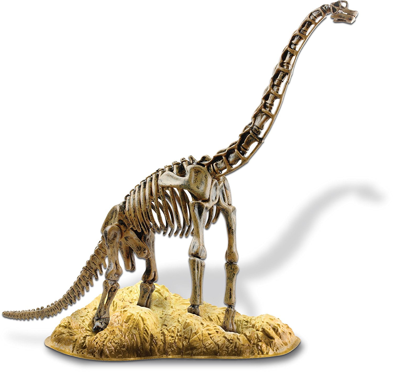 brachiosaurus and triceratops
