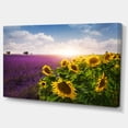 thumbnail image 2 of Lavender and Sunflower Fields - Floral Canvas Art Print, 2 of 3