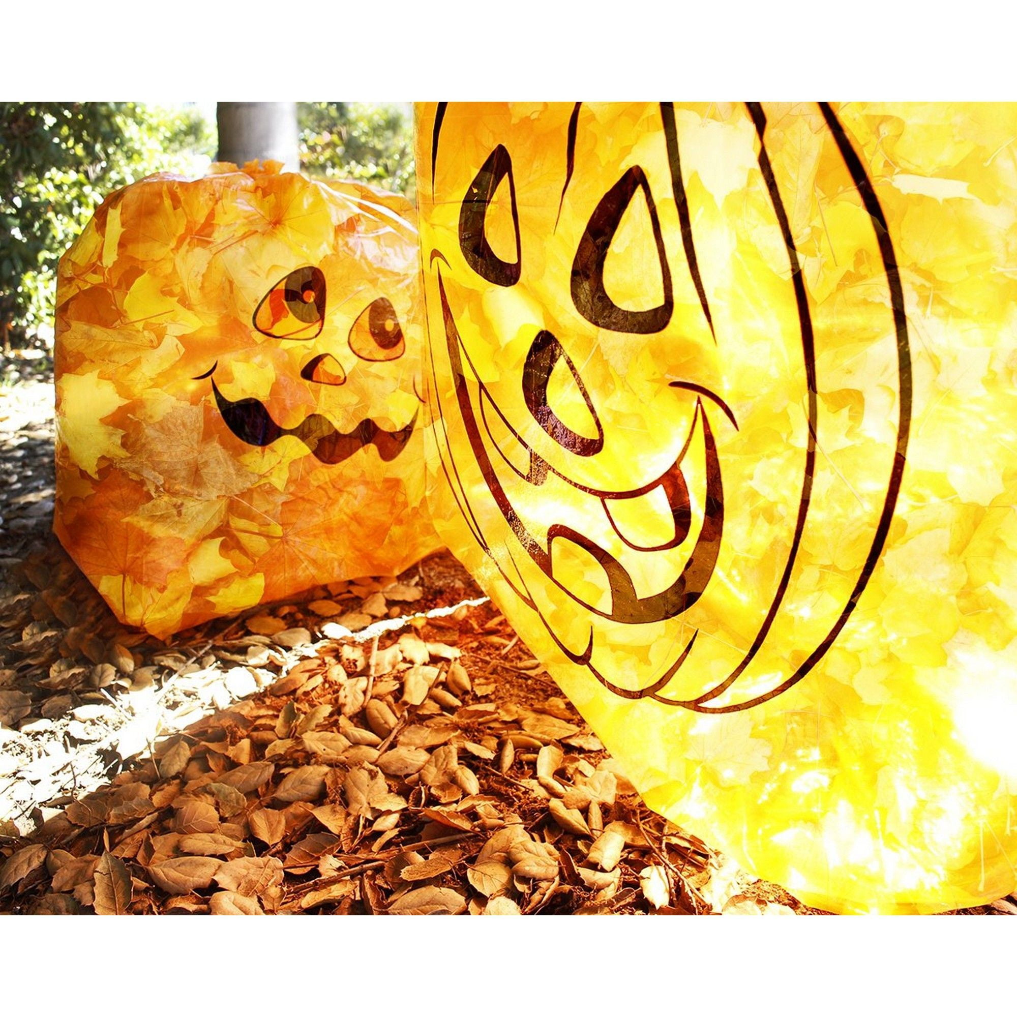 pumpkin yard waste bolsas