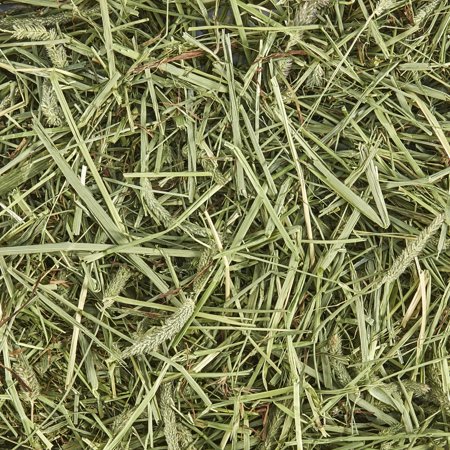 Forti-Diet Natural Timothy Hay, 96 OZ
