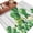 Off-White, variant on St. Patrick's Day Area Rugs 6'x9', Small Throw Rugs for Kitchen Dining room, Lucky Shamrock Watering Can Gnomes Daisy Wood Indoor Outdoor Rug Non-Slip Low Pile Carpet Runner Reversible Floor Mats