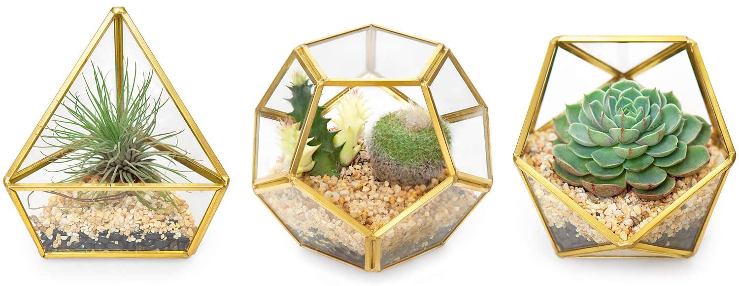 Glass pot Garden decor Small planter for cactus Geometric terrarium Container for flowers