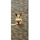 thumbnail image 5 of Muñecos de peluche originales de anime japonés Pokémon de 60 cm de tamaño grande, Eevee sentado, regalos de cumpleaños para niños, 5 of 5