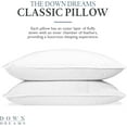 thumbnail image 2 of Down Dreams Classic Queen Pillow, 2 of 8