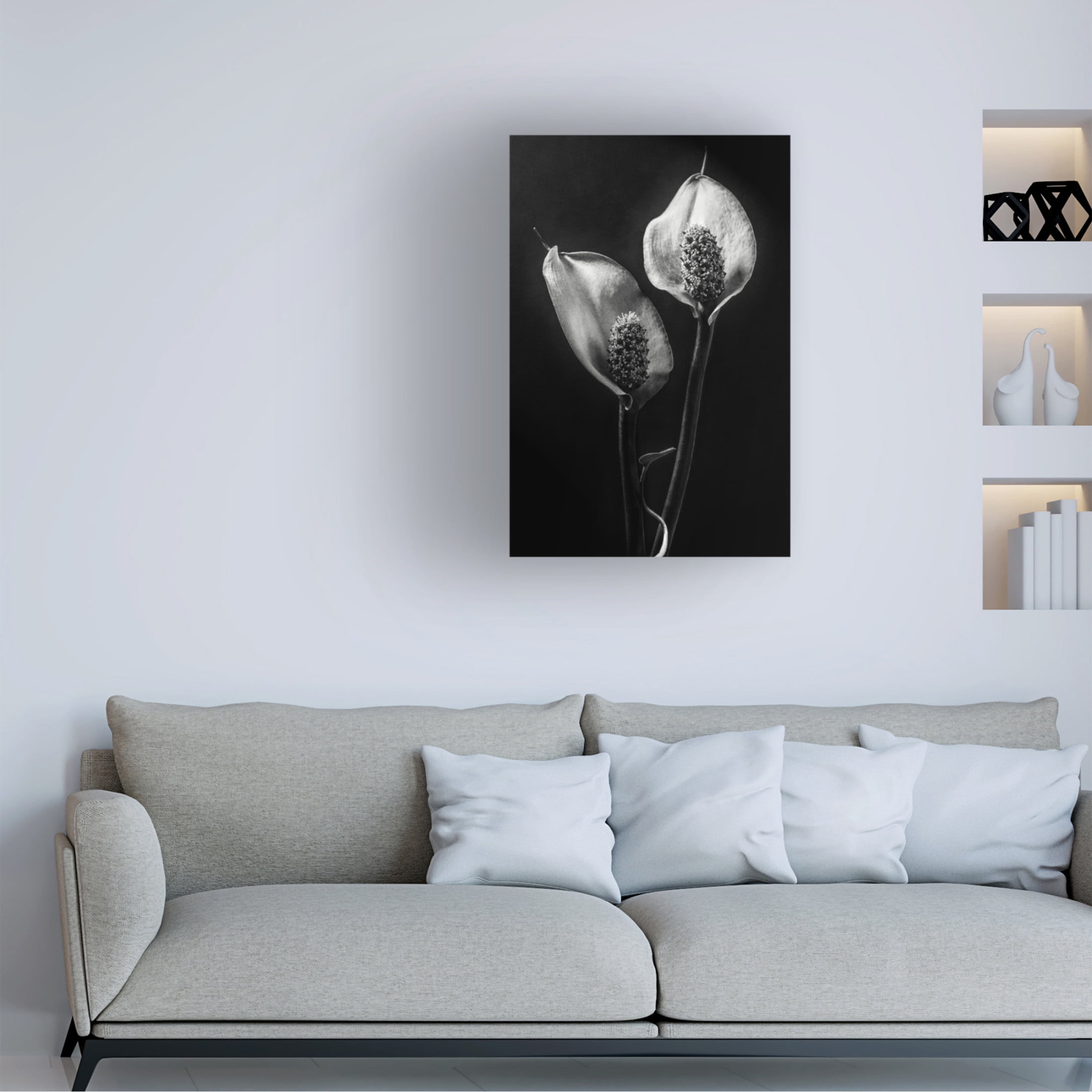 Canvas Wall Art - Stephen Clough 'Spathiphyllum' Wall Art for Living Room, Bedroom, or Office Décor by Trademark Fine Art - 16 x 24 Inches