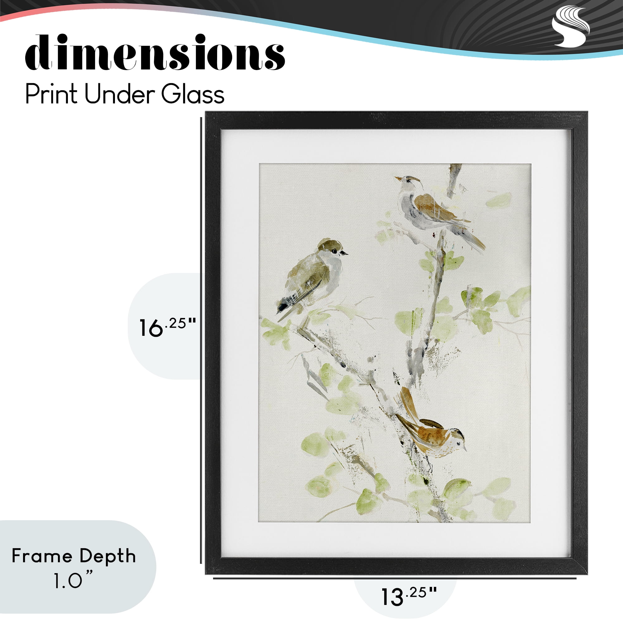 Stupell Industries Delicate Feathers Abstraction Black Framed Print Under Glass, design by Lorenzo Collective