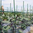 thumbnail image 5 of 70 Pcs 17.7" Metal Stakes Heavy-Duty Plant Trellises, Green Powder-Coated, Assemble 32/48/64/80+ Inch Height Steel Grid for Climbing Vegetables, 5 of 9