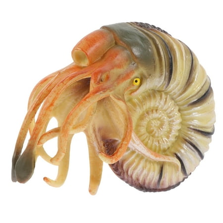 

Artificial Nautilus Model Simulation Nautilus Toy Home Marine Animal Adornment