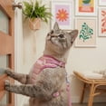 thumbnail image 3 of Oodles Iridescent Cat Walking Harness & Leash Set, Pink, One Size, 3 of 10