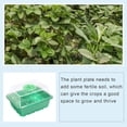 thumbnail image 4 of Caja 12 Agujeros para Cultivo Semillas Bandeja para Sembrar Plantas Jardín Invernadero (verde), 4 of 9