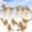 B, variant on 5pcs Birds With Screws Birds Garden Silhouette Decoration Decorative Metal Garden Yard Art Metal Birds Bird Ornaments Patio Yard