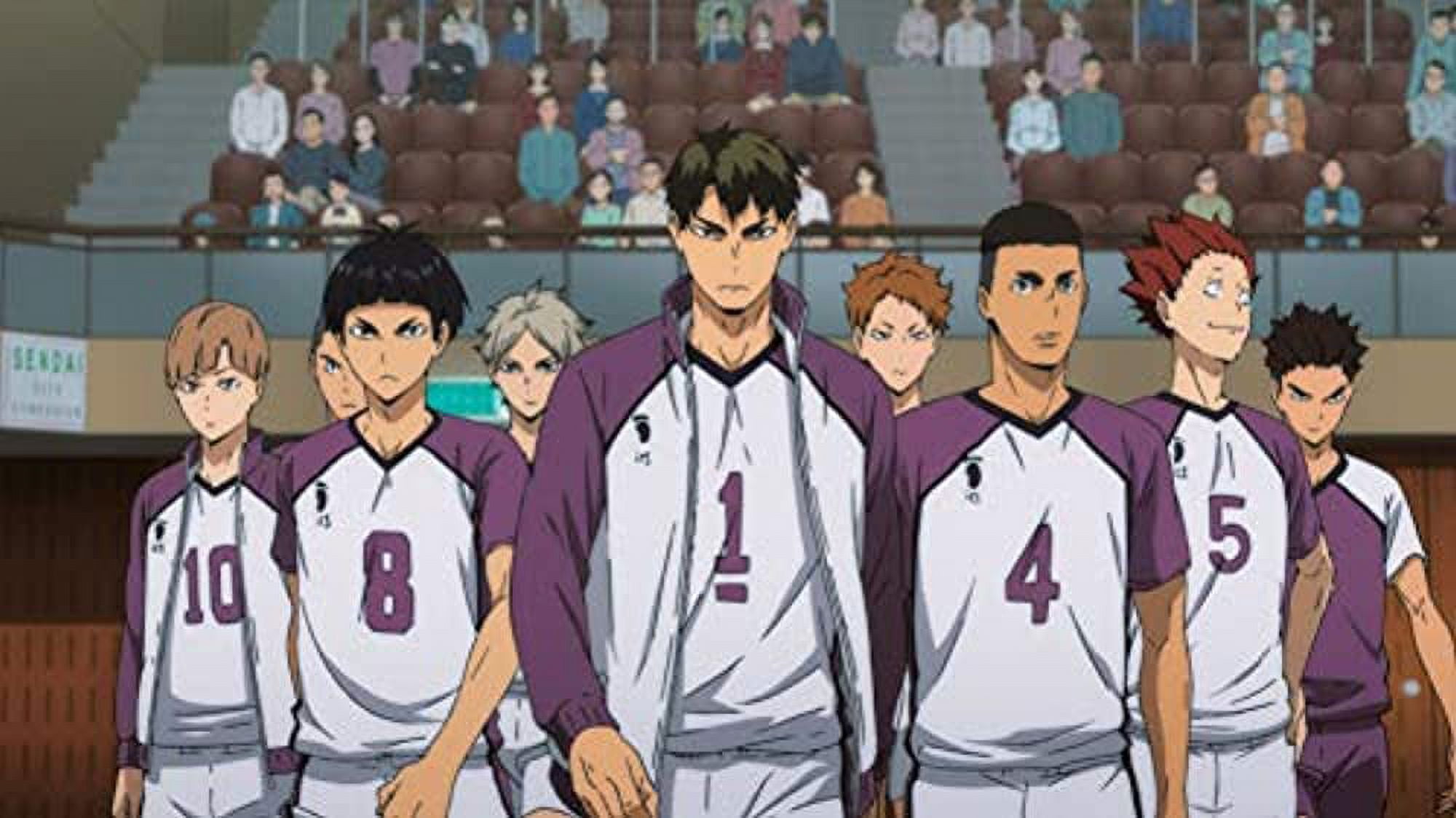 Haikyuu S4 News: Livestream Reveals Premiere Date, New Cast Member & OVAs –  The Geekiary