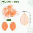 thumbnail image 2 of 100 Pcs Hojas Esqueléticas Naranjas, 2"- 3" Hojas Prensadas de Árbol de Caucho para Álbumes de Fotos y Manualidades, 2 of 7